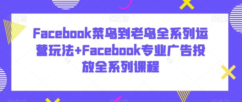 Facebook菜鸟到老鸟全系列运营玩法+Facebook专业广告投放全系列课程