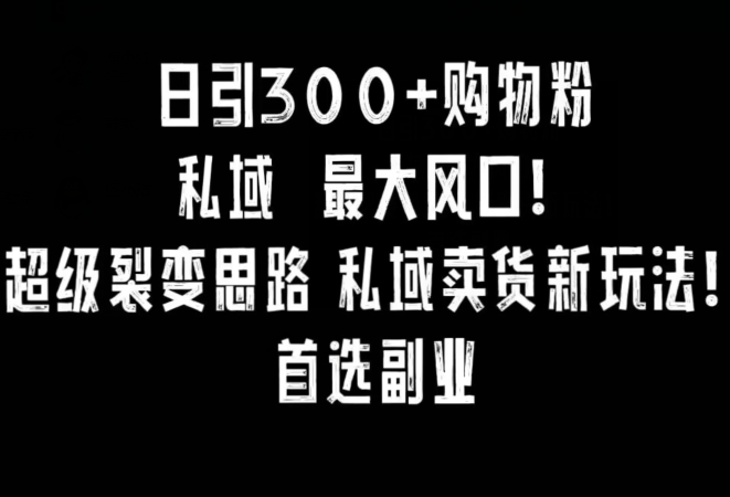 日引300+购物粉，超级裂变思路，私域卖货新玩法，小红书首选副.业.【揭秘】