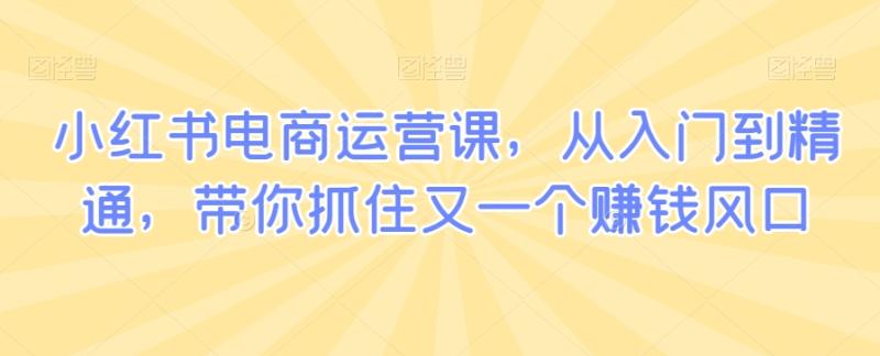 小红书电商运营课，从入门到精通，带你抓住又一个zuan钱风口