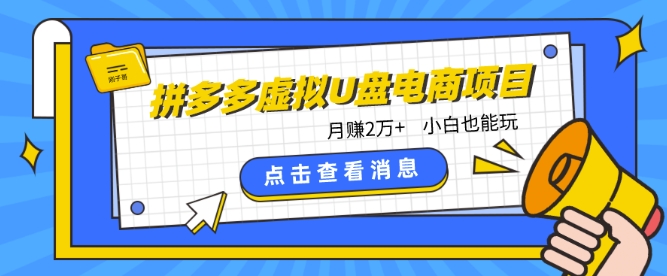拼多多虚拟U盘电商红利项目：月zuan2万+，新手小白也能玩